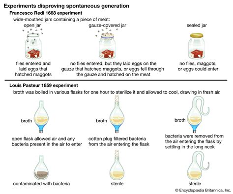 louis pasteur spontaneous generation.